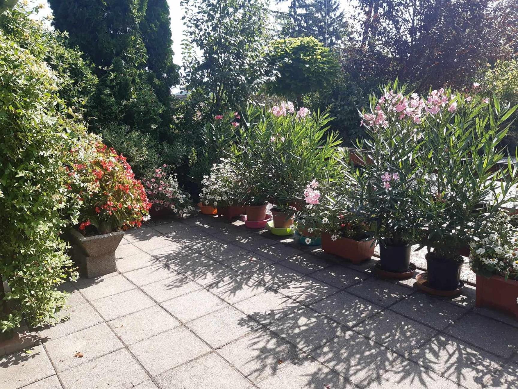 Gyoengyvirag Apartment Romhany Luaran gambar